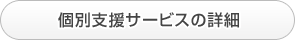 個別支援サービスの詳細