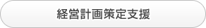 経営計画策定支援